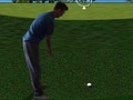 Игри Flash Golf 3D
