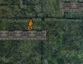 Игри Bunny Adventure