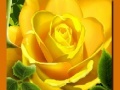 Игри Yellow Roses
