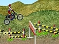 Игри Motorcycle Rally