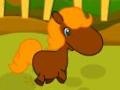 Игри Pony Races