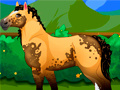 Игри Pony Dress Up