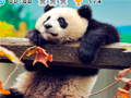 Игри Animal Habitats: Find Items