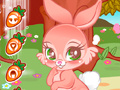 Игри Cute Bunny