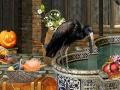 Игри The Witches Curse