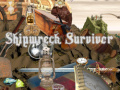 Игри Shipwreck Survivor