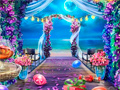 Игри Wedding Photographer