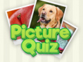Игри 100 Pics