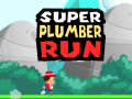 Игри Super Plumber Run