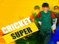 Игри Super Cricket      