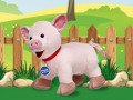 Игри Catch The Pig