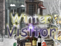 Игри Winter Visitor
