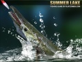 Игри Summer Lake