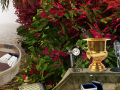 Игри The Prize Winning Garden