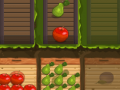 Игри Fruit Gardener