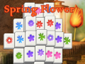 Игри Spring Flower