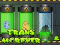Игри Ttransmorpher