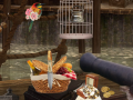 Игри Unknown Island