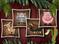 Игри Animal Shapes 3