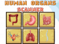 Игри Human Organs Scanner