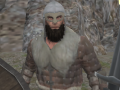 Игри Vikings Aggression