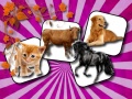 Игри Domestic Animal Memory Challenge