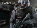 Игри Flashpoint