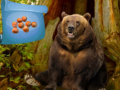 Игри Magical Autumn Forest