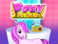 Игри Pony Pet Salon