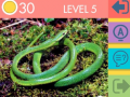 Игри 15 Picture Quiz
