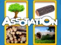 Игри Assotiation 
