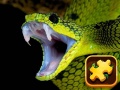 Игри Snake Puzzle Challenge