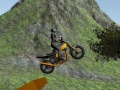 Игри Dirt Bike Rider