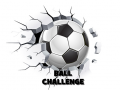 Игри Ball Challenge