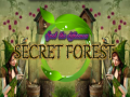 Игри Spot The differences Secret Forest
