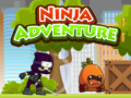 Игри Ninja Adventure