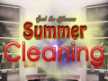 Игри Spot The differences Summer Cleaning
