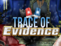 Игри Trace of Evidence