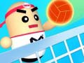 Игри Amazing Volleyball