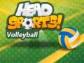 Игри Head Sports Volleyball