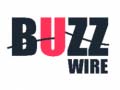 Игри Buzz Wire