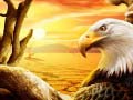 Игри Eagle