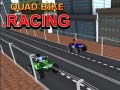 Игри Quad Bike Racing