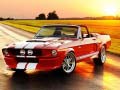 Игри Fancy Mustang Differences