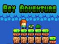 Игри Boy Adventure