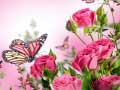 Игри Butterflies Puzzle