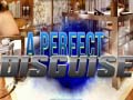 Игри A Perfect Disguise