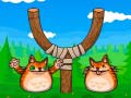 Игри Shot The Angry Cat