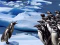 Игри Penguins Slide