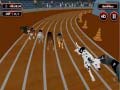 Игри Crazyl Dog Racing Fever